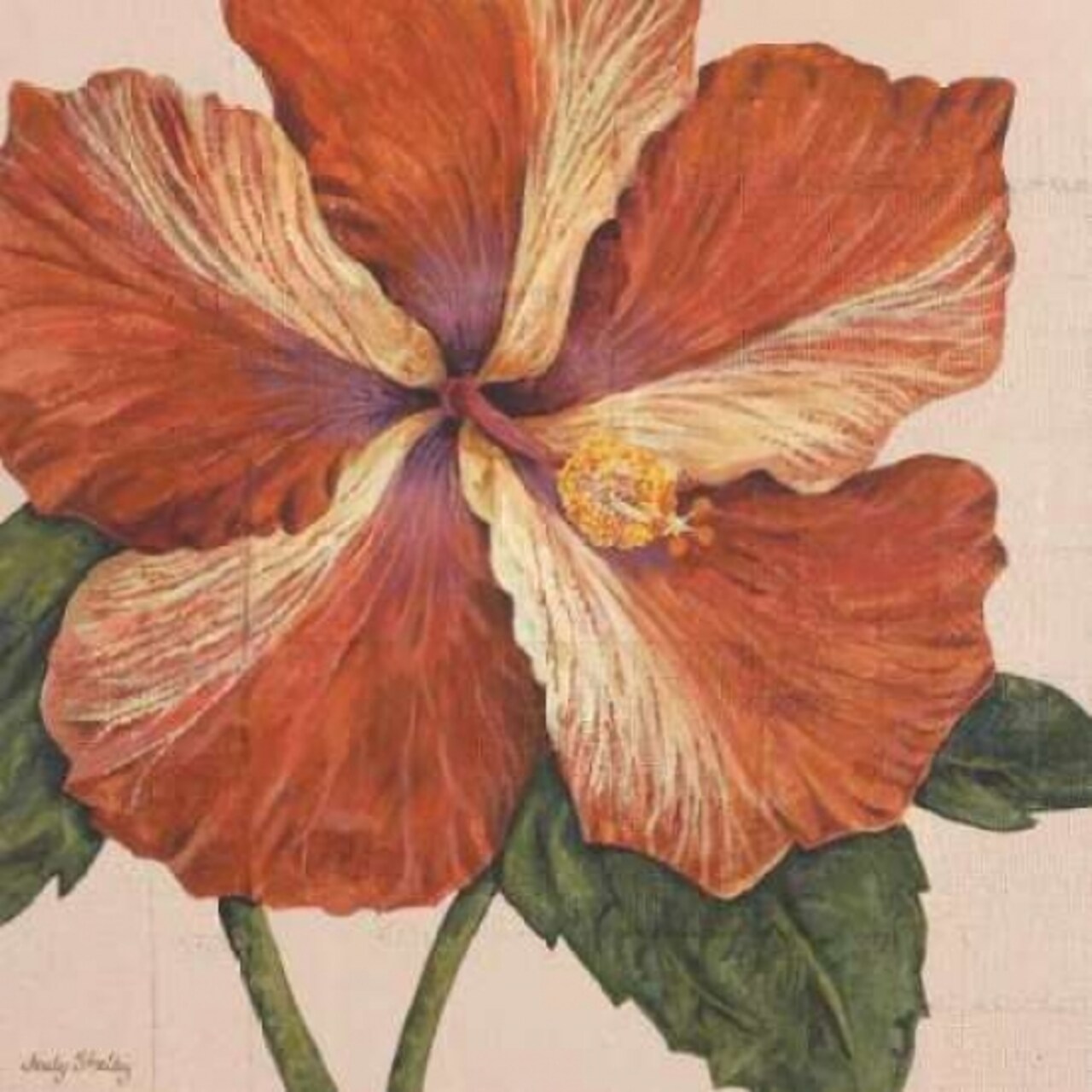 Island Hibiscus I Poster Print by Judy Shelby - Item # VARPDXCC2429